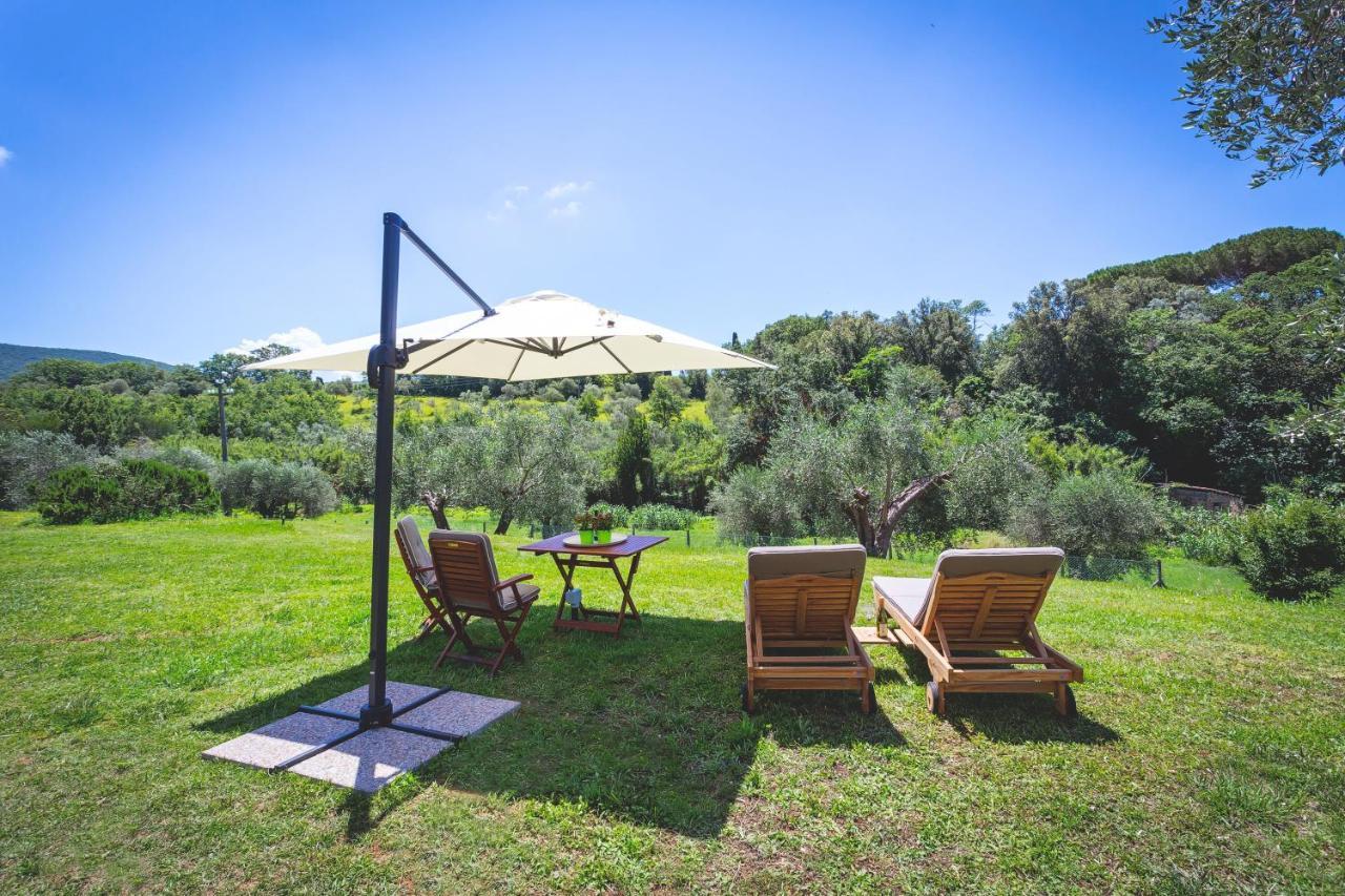 Bed and Breakfast Gatto Rosso Bolgheri Exteriér fotografie
