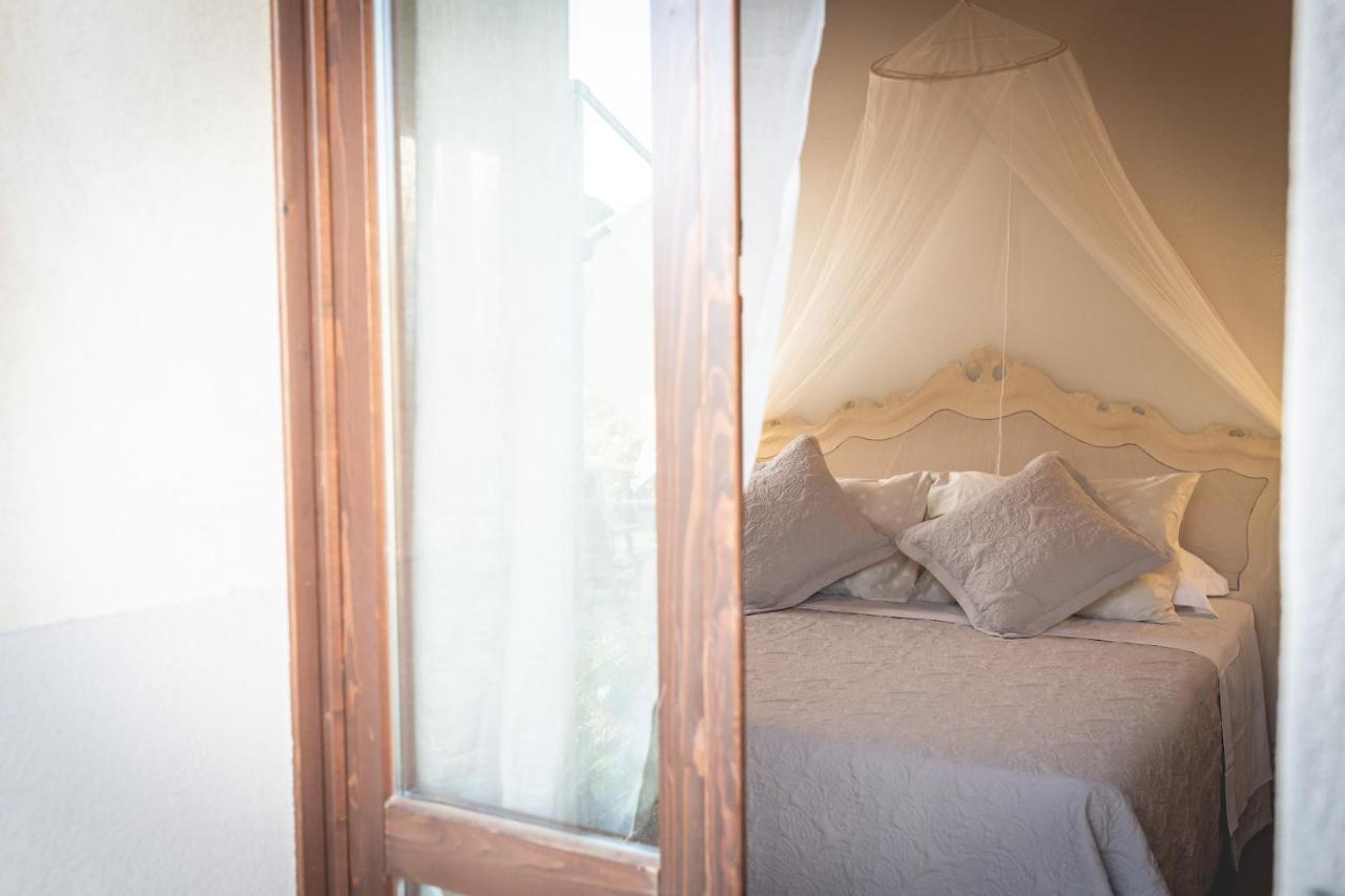 Bed and Breakfast Gatto Rosso Bolgheri Exteriér fotografie